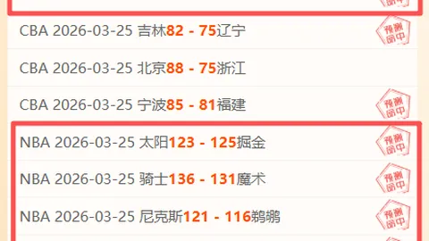 丹麦球迷山顶啤酒狂欢，热狗相伴看球赛