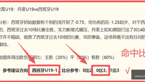 推荐 巴西国际弗拉门戈：周三004赛事攻略终极指南